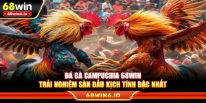 Đá Gà Campuchia 68WIN – Trải Nghiệm Sàn Đấu Kịch Tính Bậc Nhất
