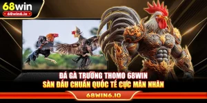 Đá Gà Trường Thomo 68WIN – Sàn Đấu Chuẩn Quốc Tế Cực Mãn Nhãn