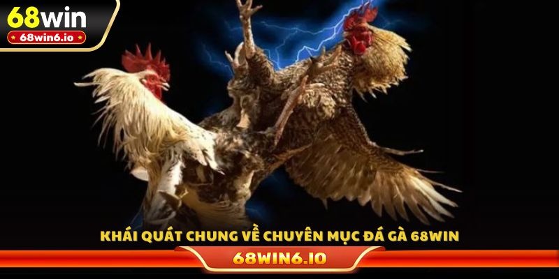 Khái quát chung về chuyên mục đá gà 68WIN