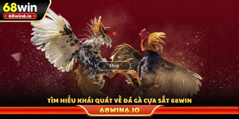 Tìm hiểu khái quát về đá gà cựa sắt 68WIN