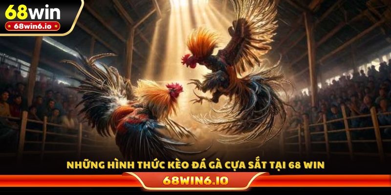 Những hình thức kèo đá gà cựa sắt tại 68 WIN