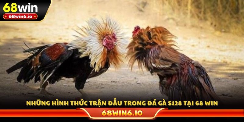 Những hình thức trận đấu trong đá gà S128 tại 68 WIN
