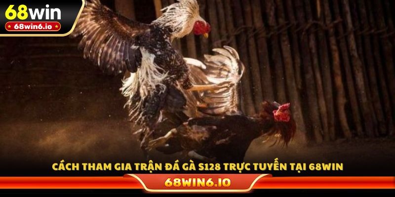 Cách tham gia trận đá gà S128 trực tuyến tại 68WIN