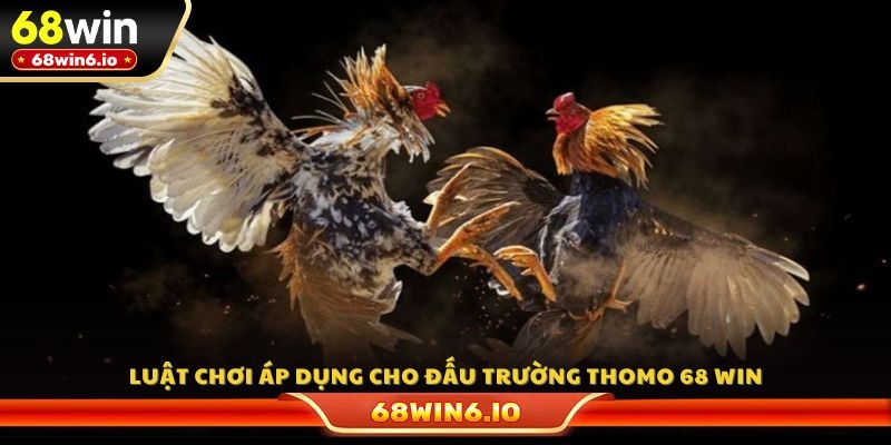 Luật chơi áp dụng cho đấu trường Thomo 68 WIN